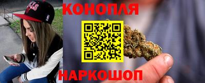 стаф Моздок