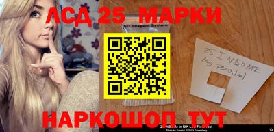 ГАЛЛЮЦИНОГЕННЫЕ ГРИБЫ Можга