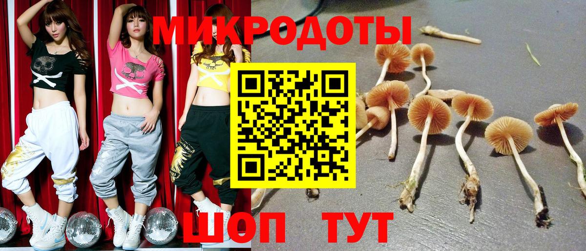 Псилоцибиновые грибы MAGIC MUSHROOMS  Вход с VPN  купить  цена  Торжок 