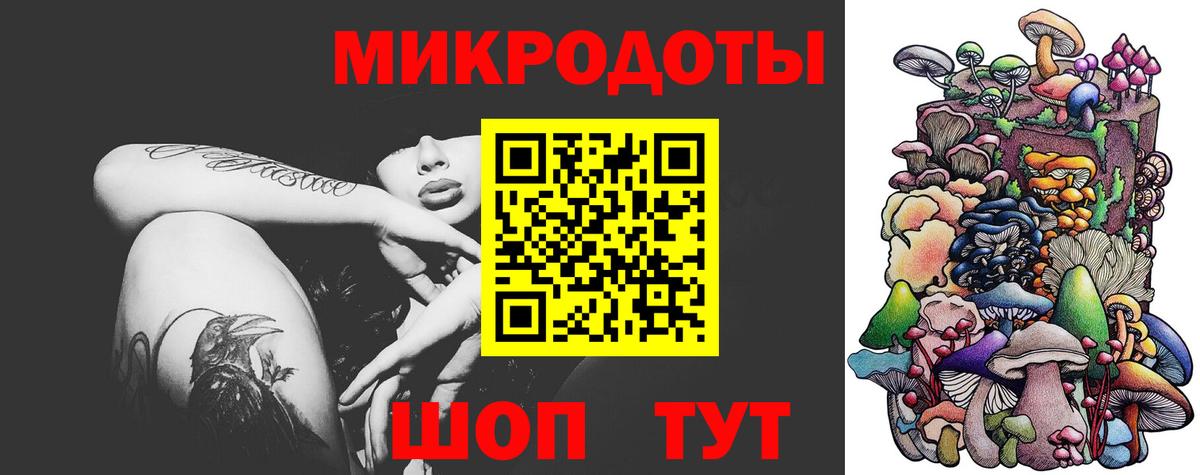 Галлюциногенные грибы Psilocybe Торжок