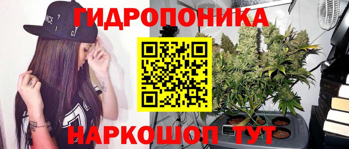 Конопля OG Kush Торжок