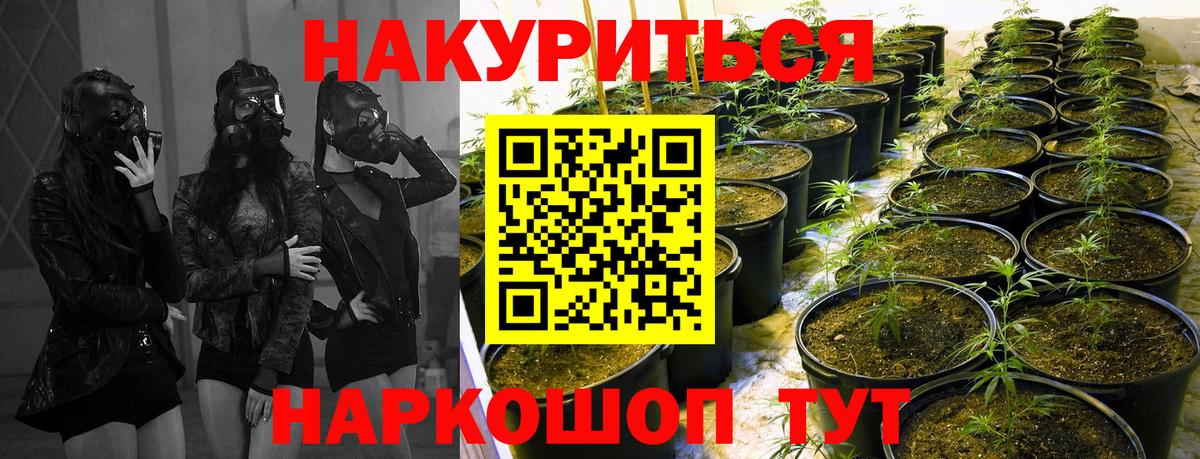 Торжок  Бошки марихуана ГИДРОПОН  Бошки Шишки сатива  Вход с VPN  Канабис Bruce Banner 